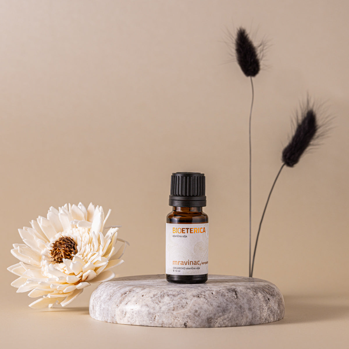 Oregano Organic