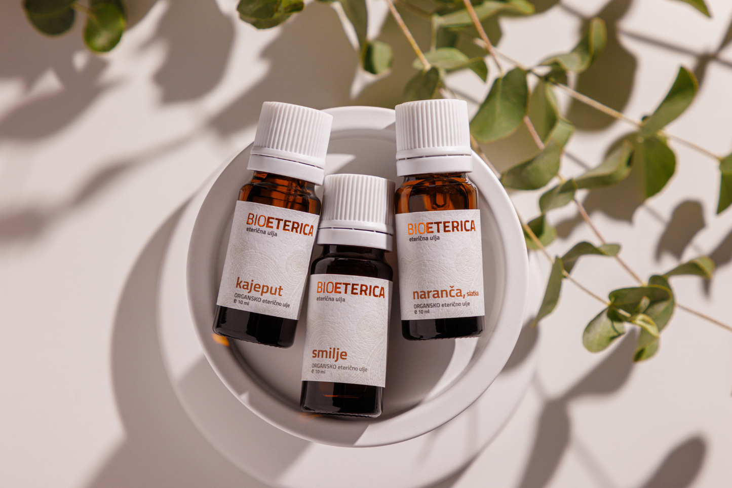 Etika branja i održivo uzgojeno bilje – zašto je bitno?